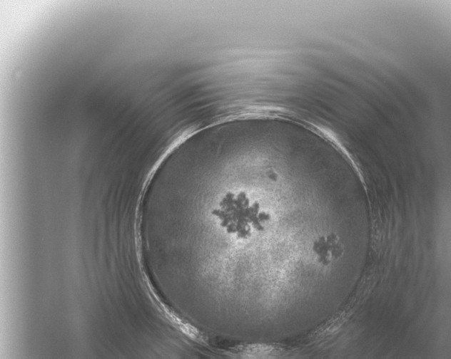 X0000059041235200510211925