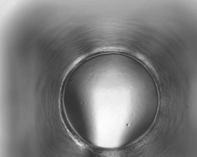 X0000059041237200510211925