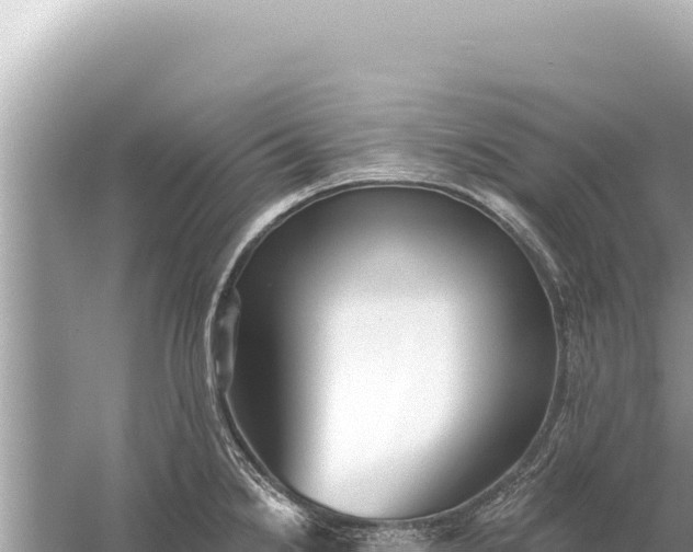 X0000059041238200510211925