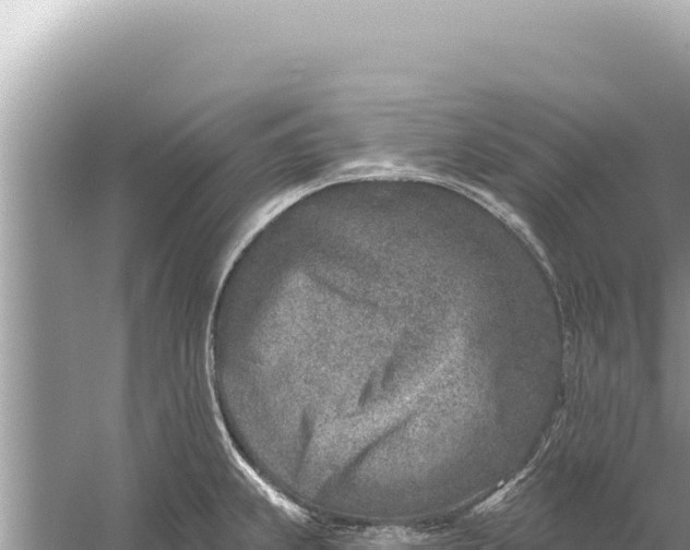 X0000059041239200510211925