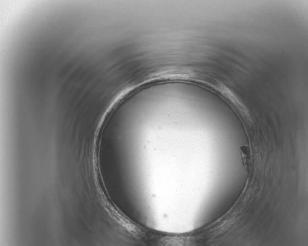 X0000059041240200510211925