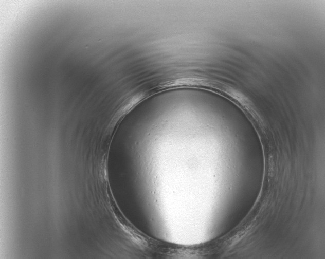 X0000059041241200510211925