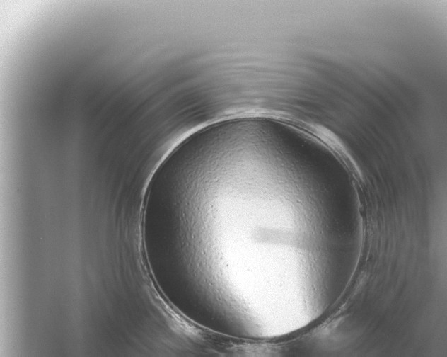 X0000059041244200510211925