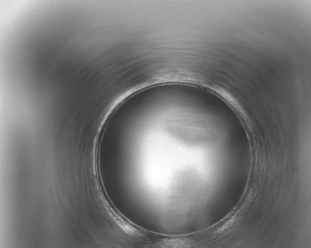 X0000059041246200510211925