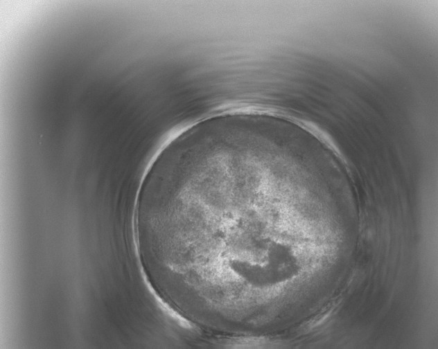 X0000059041247200510211925