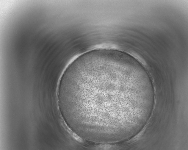 X0000059041248200510211926