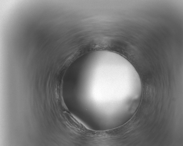 X0000059041250200510211925