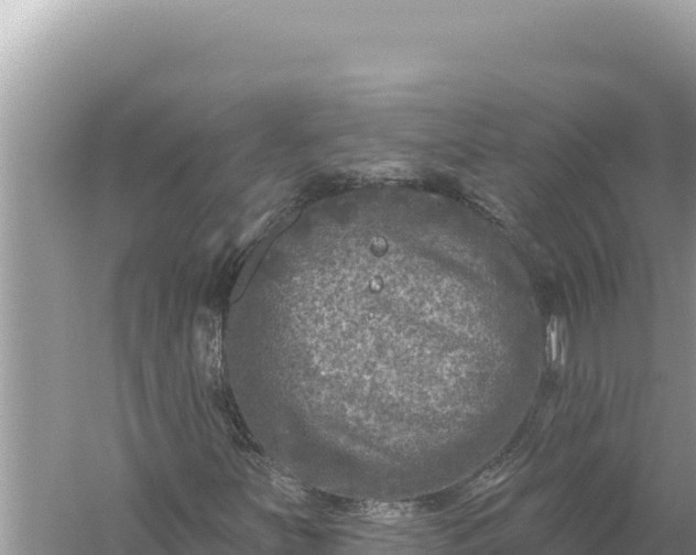 X0000059041251200510211925