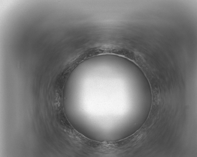 X0000059041253200510211925