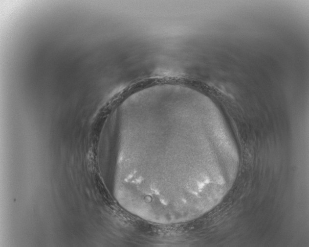 X0000059041254200510211925