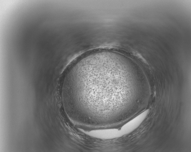 X0000059041256200510211925