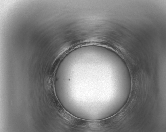 X0000059041258200510211925