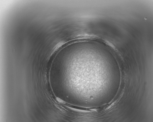 X0000059041259200510211925