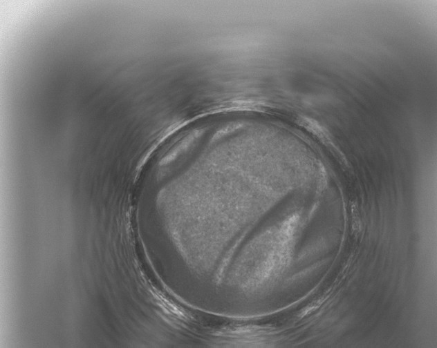 X0000059041260200510211925