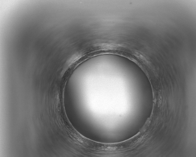 X0000059041261200510211924