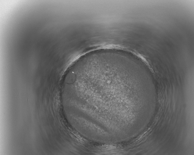 X0000059041263200510211924