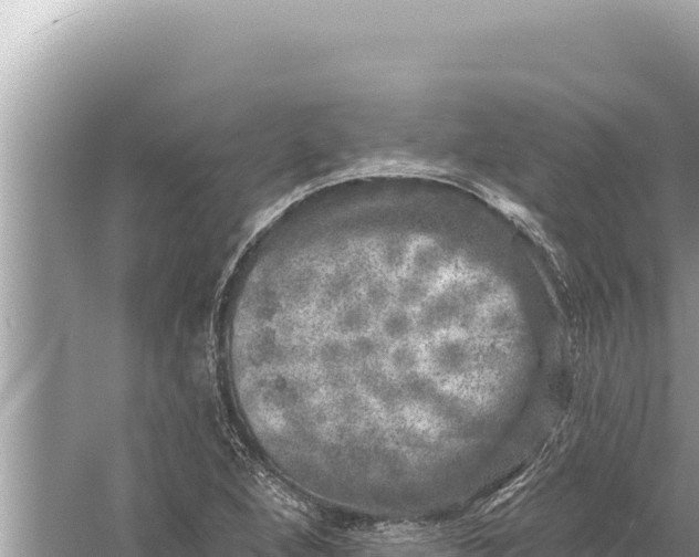 X0000059041264200510211924