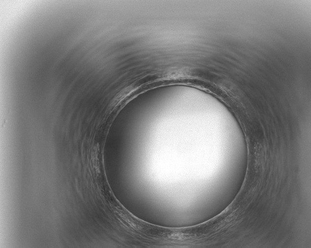 X0000059041265200510211924