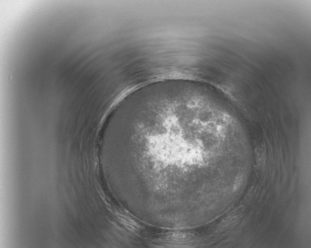 X0000059041266200510211924