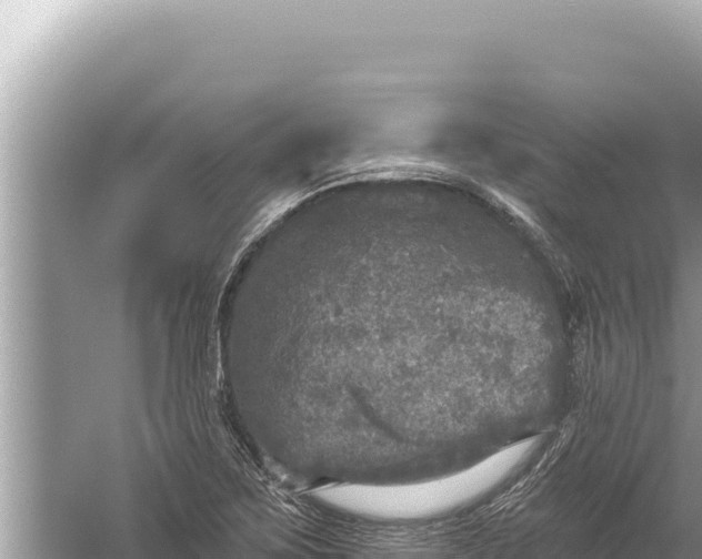 X0000059041267200510211924