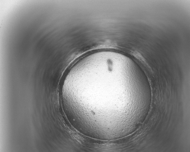 X0000059041268200510211924