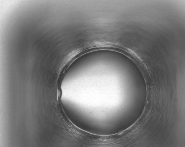 X0000059041269200510211924