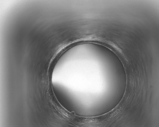 X0000059041270200510211924