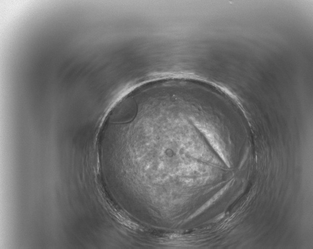 X0000059041271200510211924