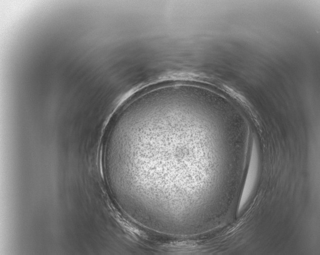 X0000059041272200510211924