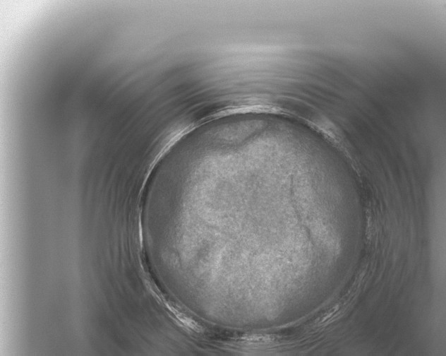 X0000059041274200510211924