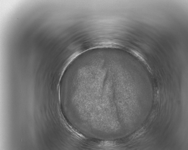 X0000059041275200510211924