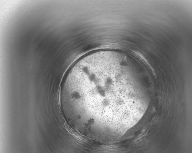 X0000059041276200510211924