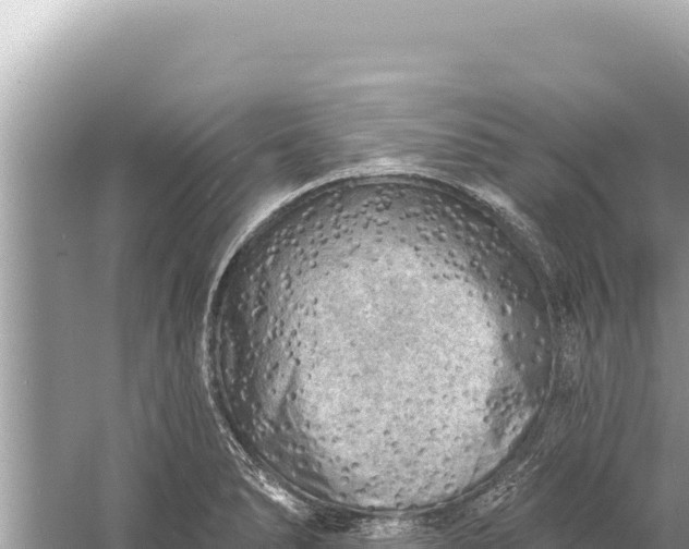 X0000059041278200510211924