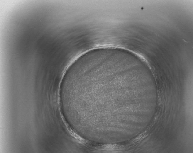 X0000059041279200510211924