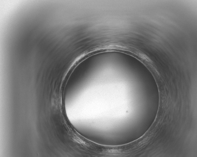 X0000059041280200510211924