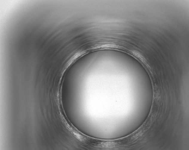 X0000059041282200510211924