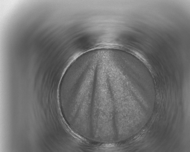 X0000059041283200510211924