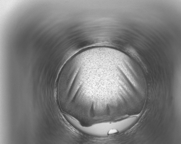 X0000059041284200510211924