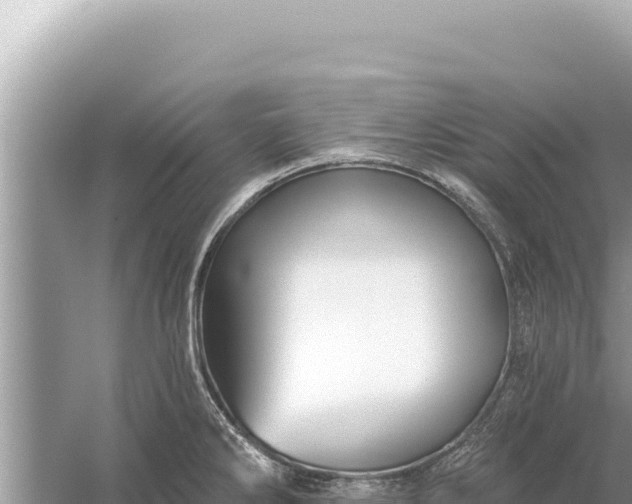 X0000059041286200510211924