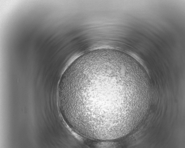 X0000059041290200510211924