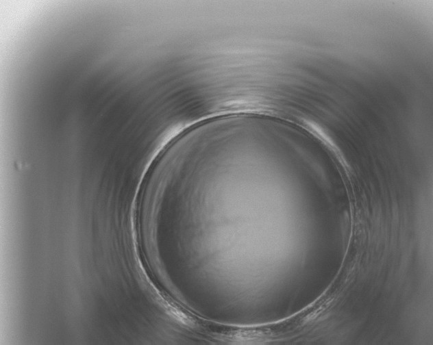 X0000059041291200510211924