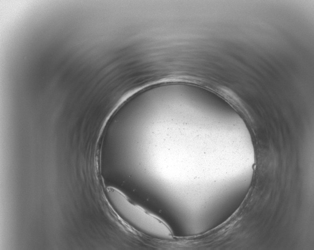 X0000059041292200510211924