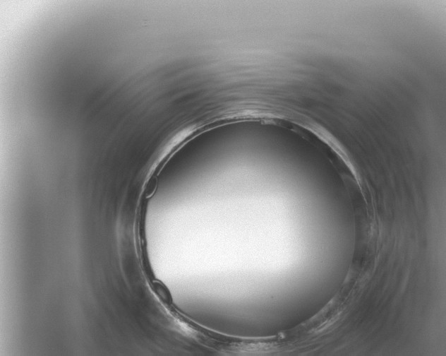 X0000059041293200510211924