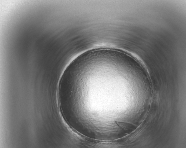 X0000059041295200510211924