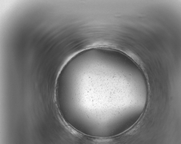 X0000059041296200510211924