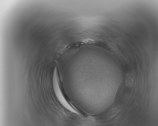 X0000059041298200510211923