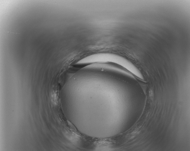 X0000059041300200510211923