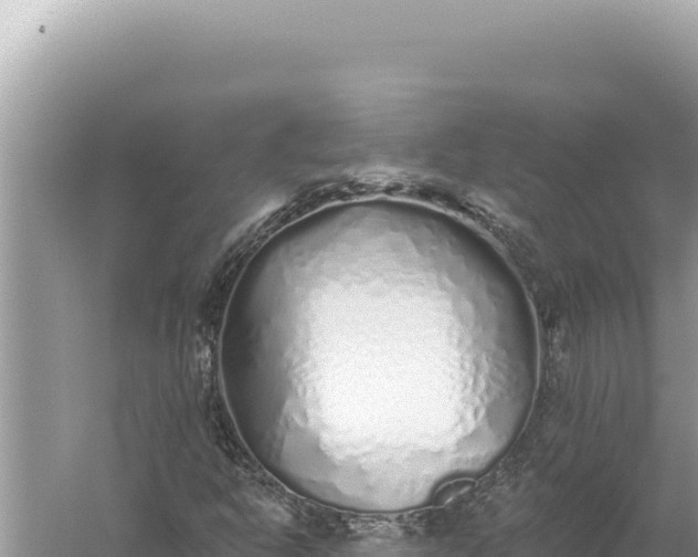 X0000059041302200510211923