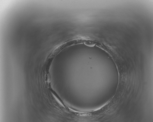 X0000059041303200510211923