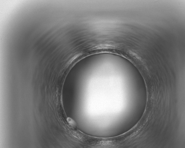 X0000059041313200510211923